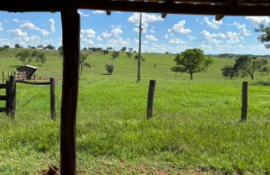 Fazenda para venda em Camapuã